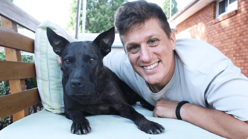 Australian Entrepreneur Uses ChatGPT and AlphaFold to Save Dying Dog for $3,000, Outperforming Entire Pharmaceutical Pipeline